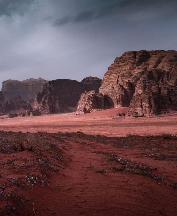 Wadi Rum Camp المظهر الخارجي الصورة