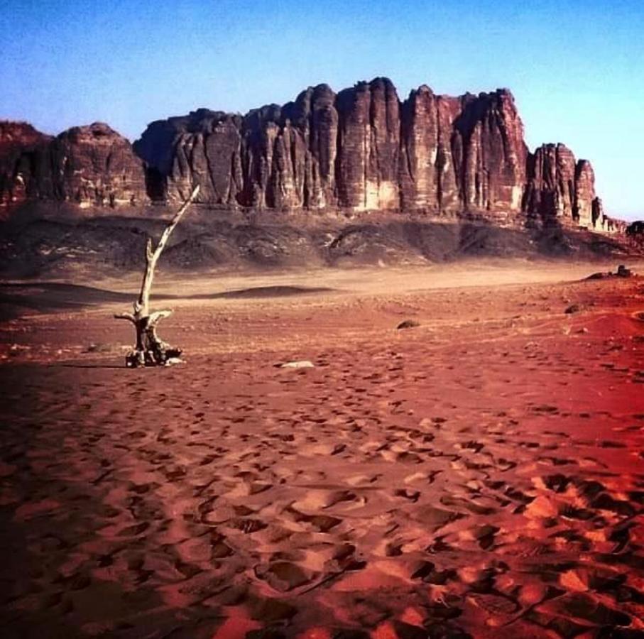 Wadi Rum Camp المظهر الخارجي الصورة