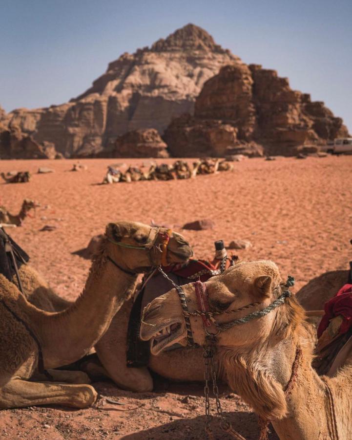 Wadi Rum Camp المظهر الخارجي الصورة